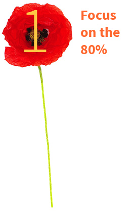flower-1