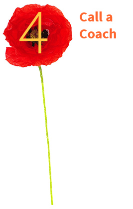 flower-4