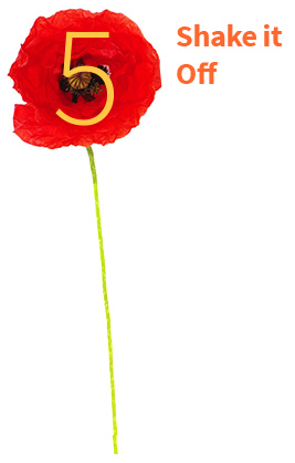 flower-4
