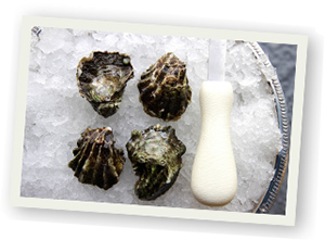 oyster-america-west
