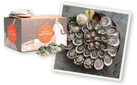 oyster-delivery