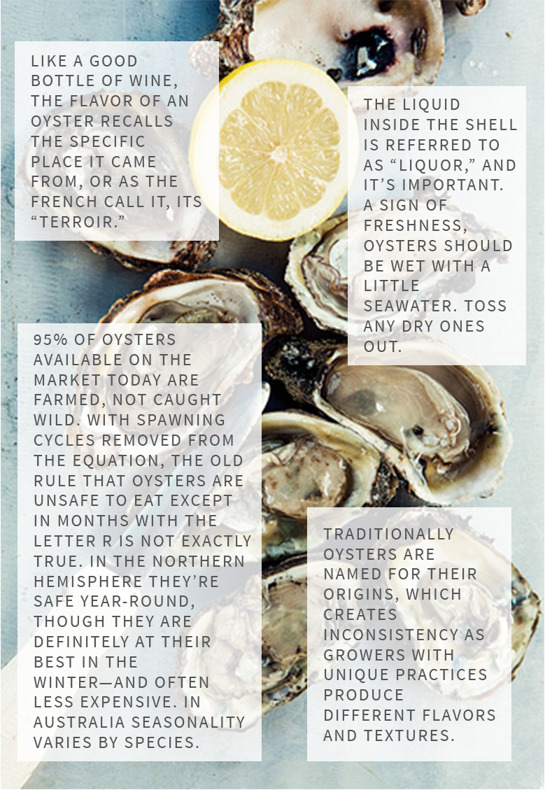 oyster-ettiquite