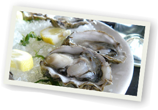 oyster-europe