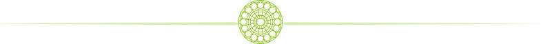 divi-lime