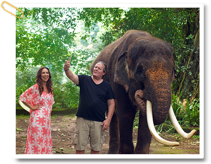 gina-glenn-elephant
