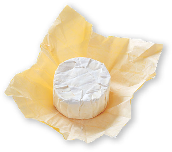 cheese-1