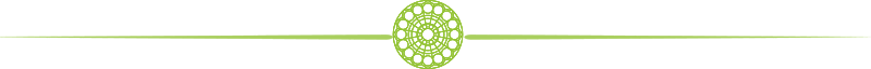 lime-dark-divi