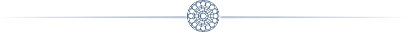 navy-divi