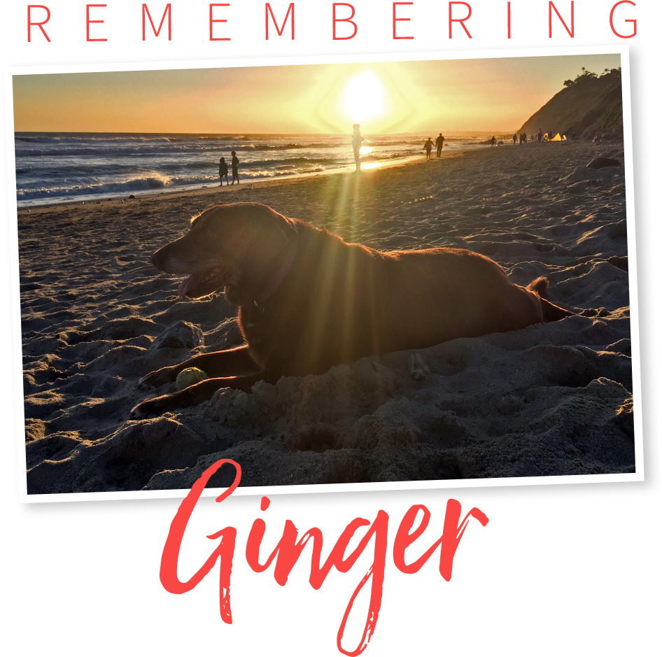 ginger-hdr